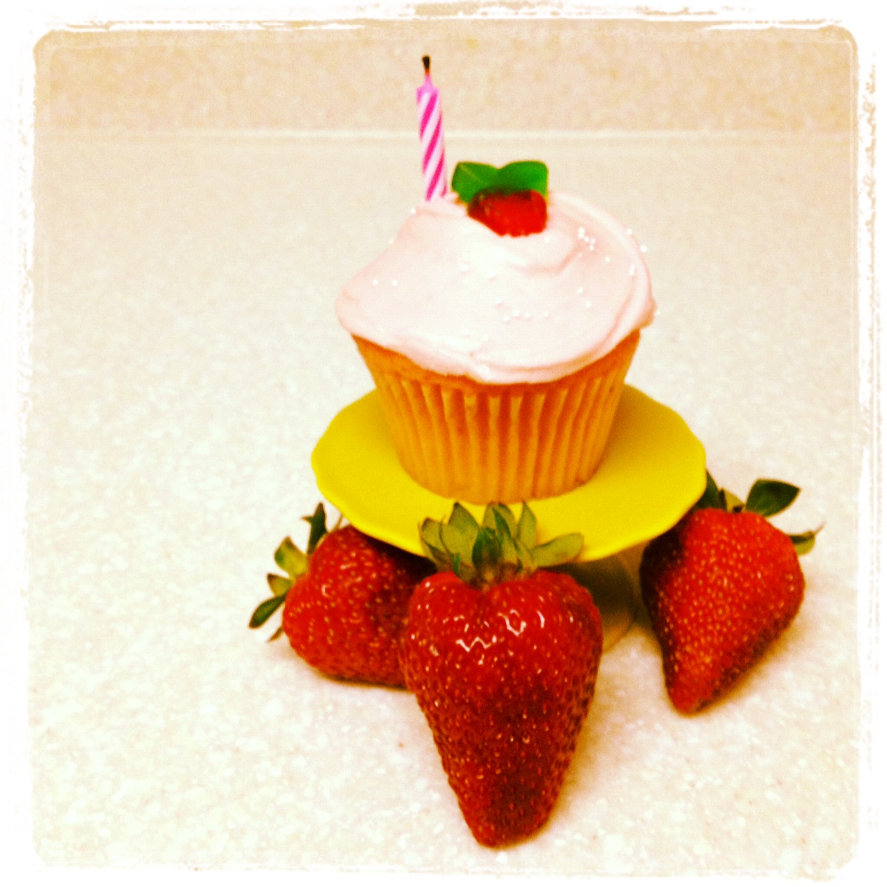 photo (12)