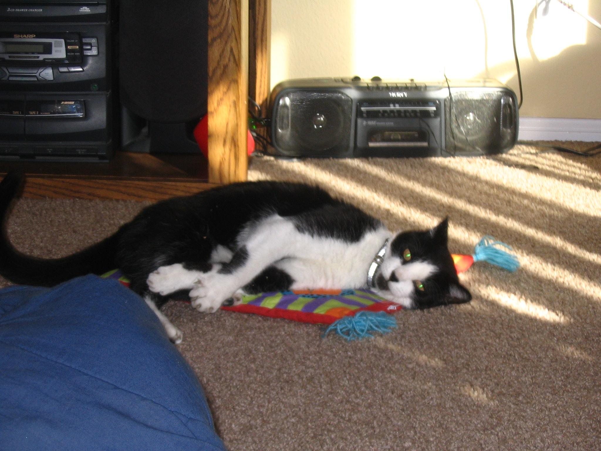 Picture 563