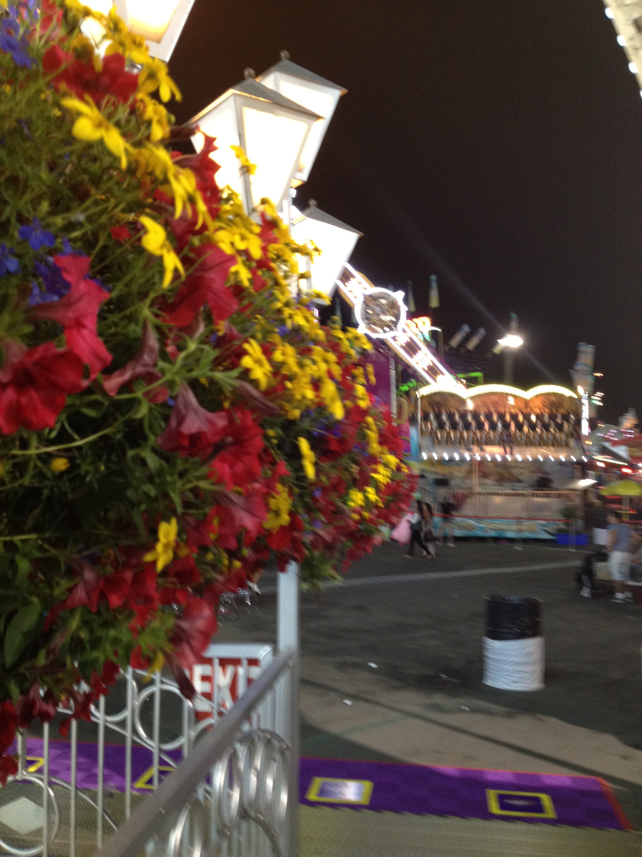 20120808-124155.jpg