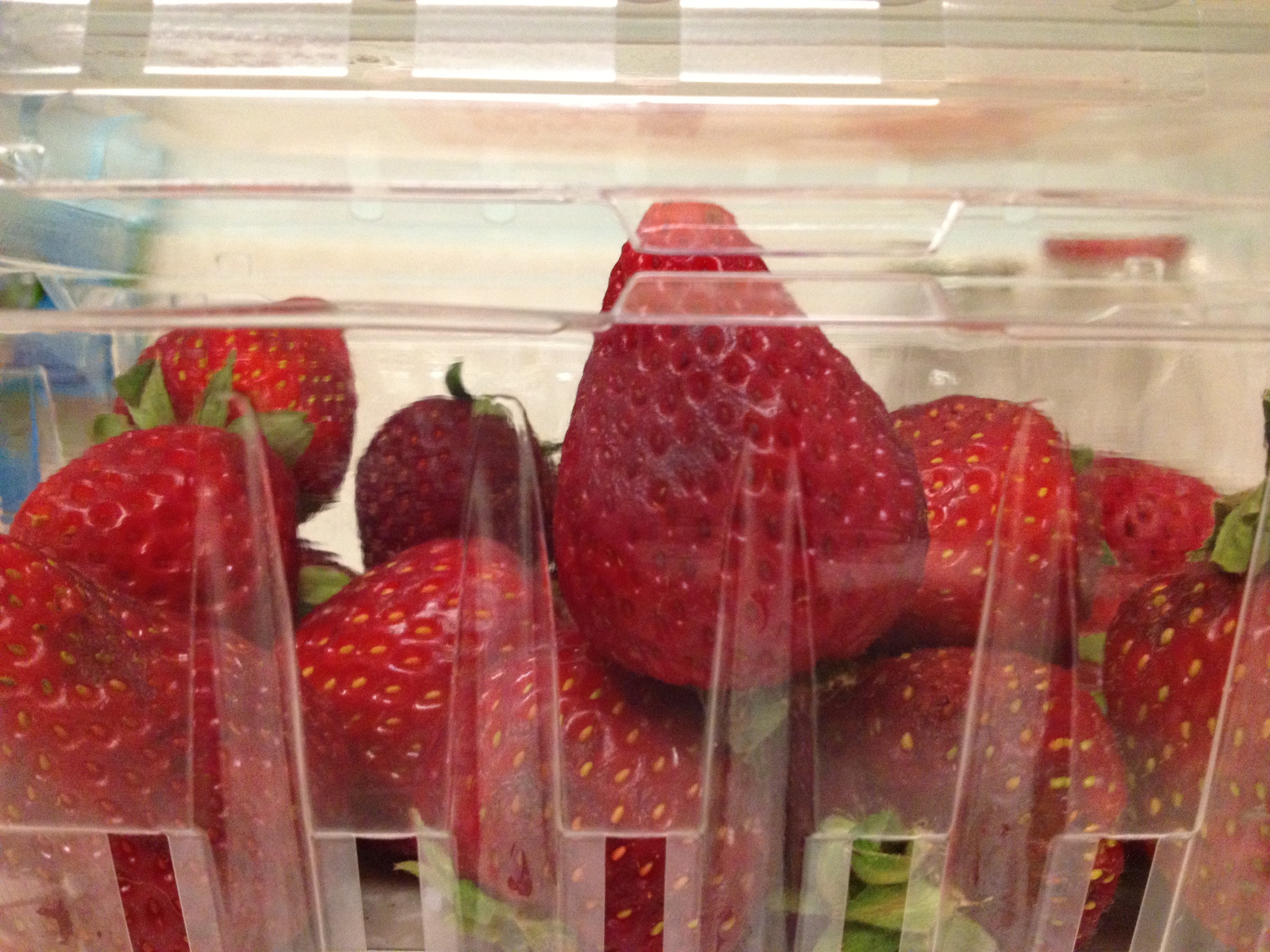 20120815-001731.jpg