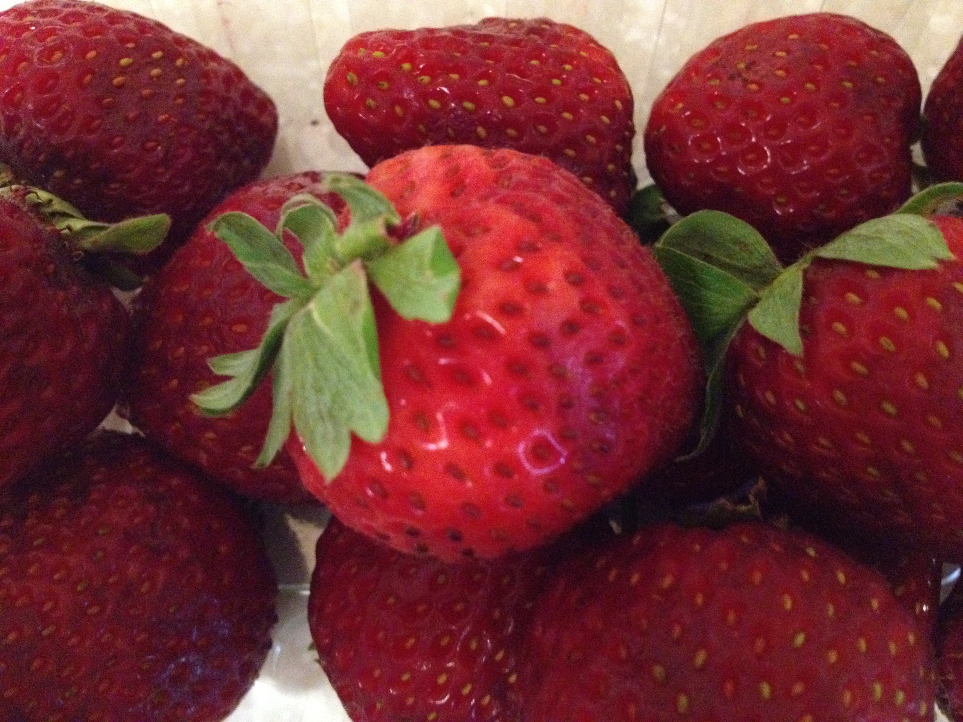 20120815-001740.jpg