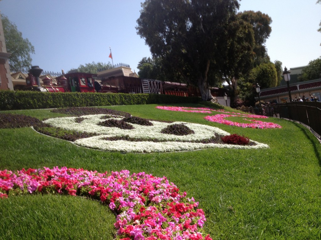 Mickey Garden