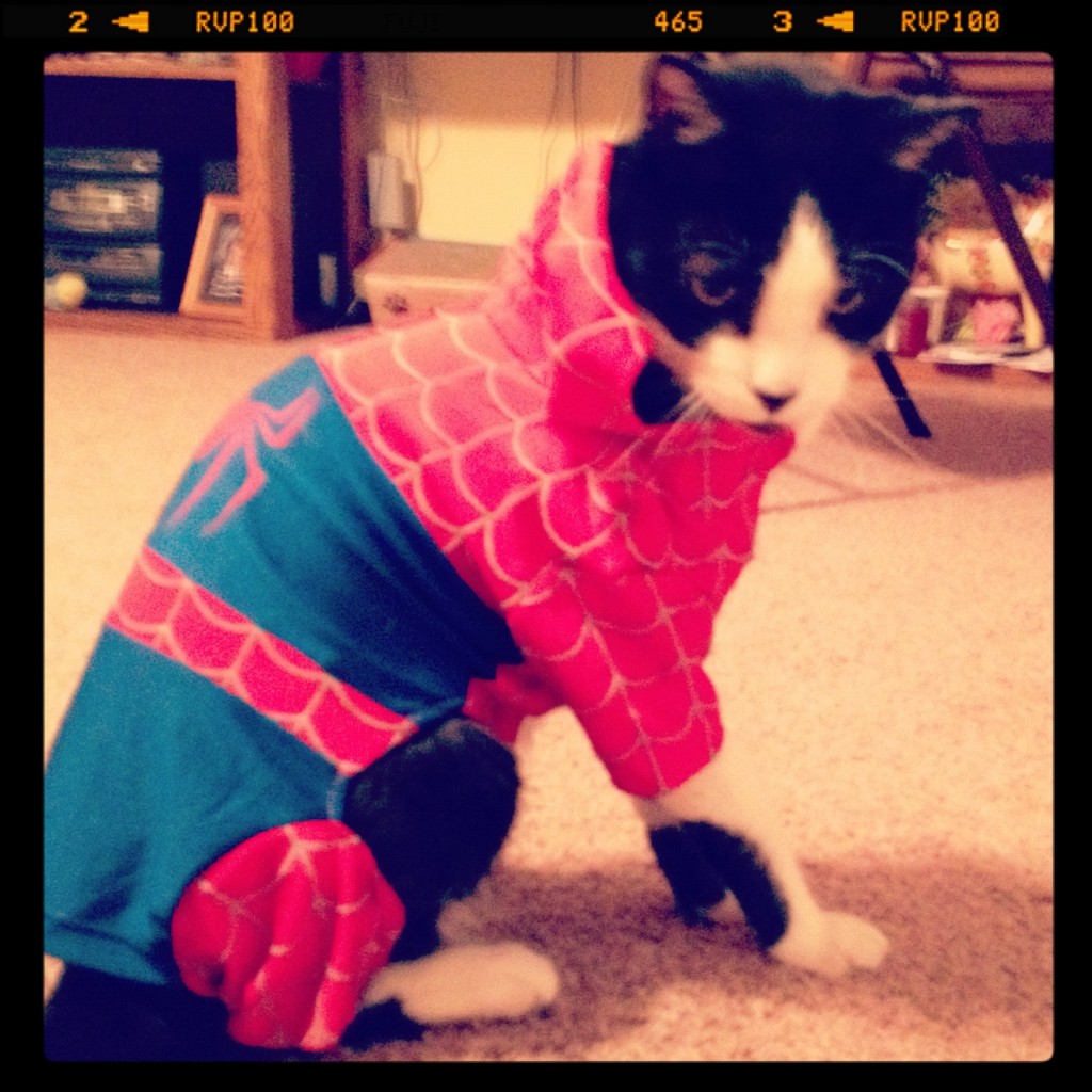 Super Kitty