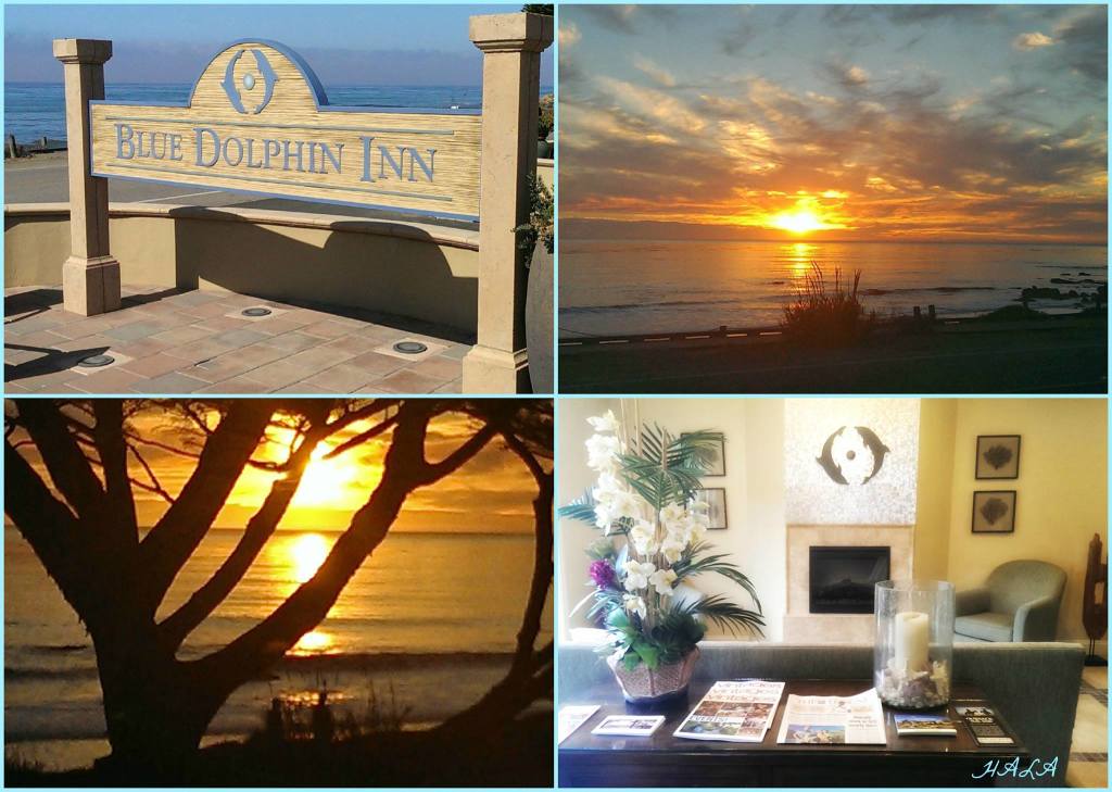 1 Blue Dolphin Inn 