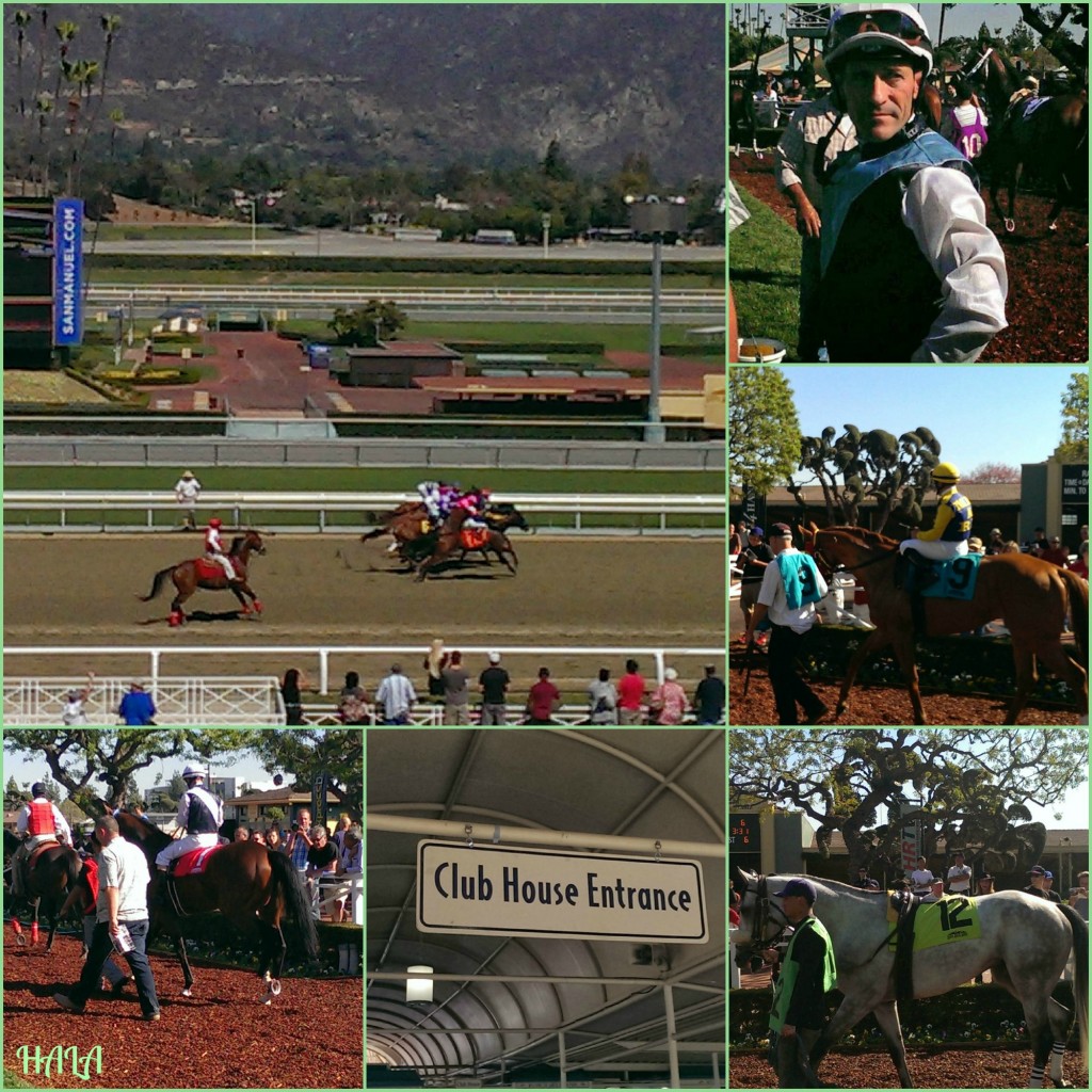 Santa Anita Park Gary Stevens Horses