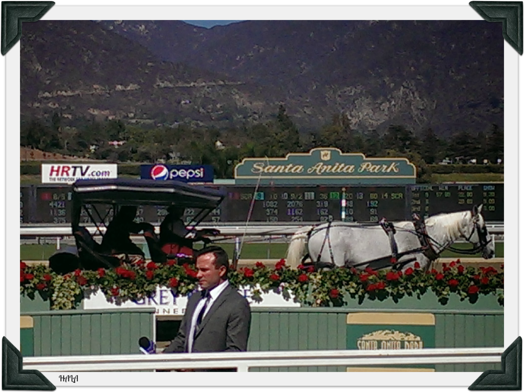 1SantaAnita5