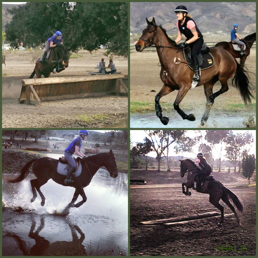 Galway Downs