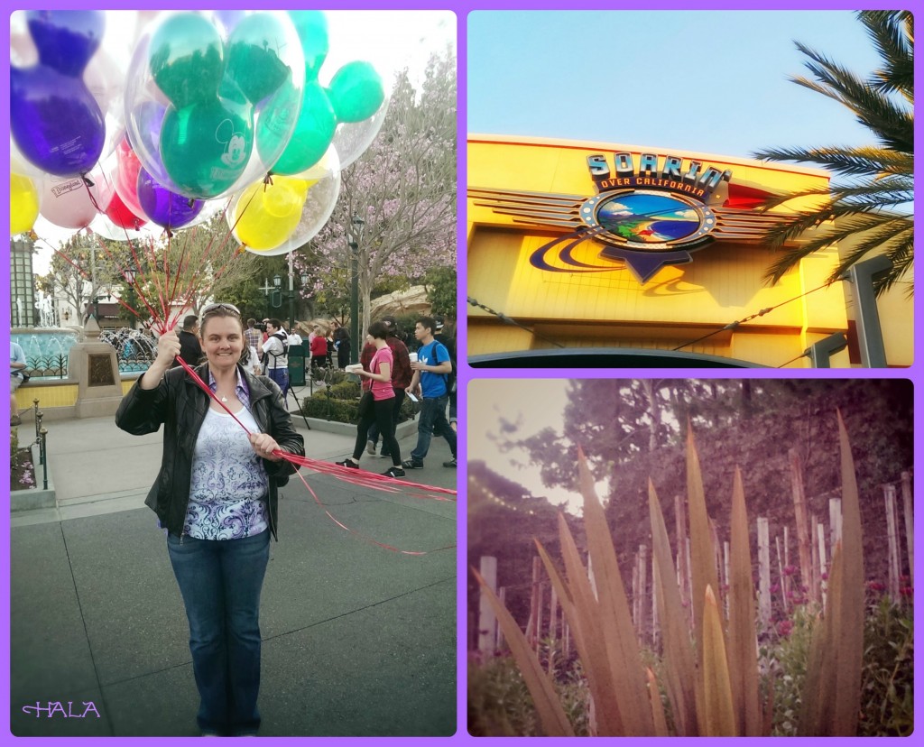 Disney's California Adventure Balloons