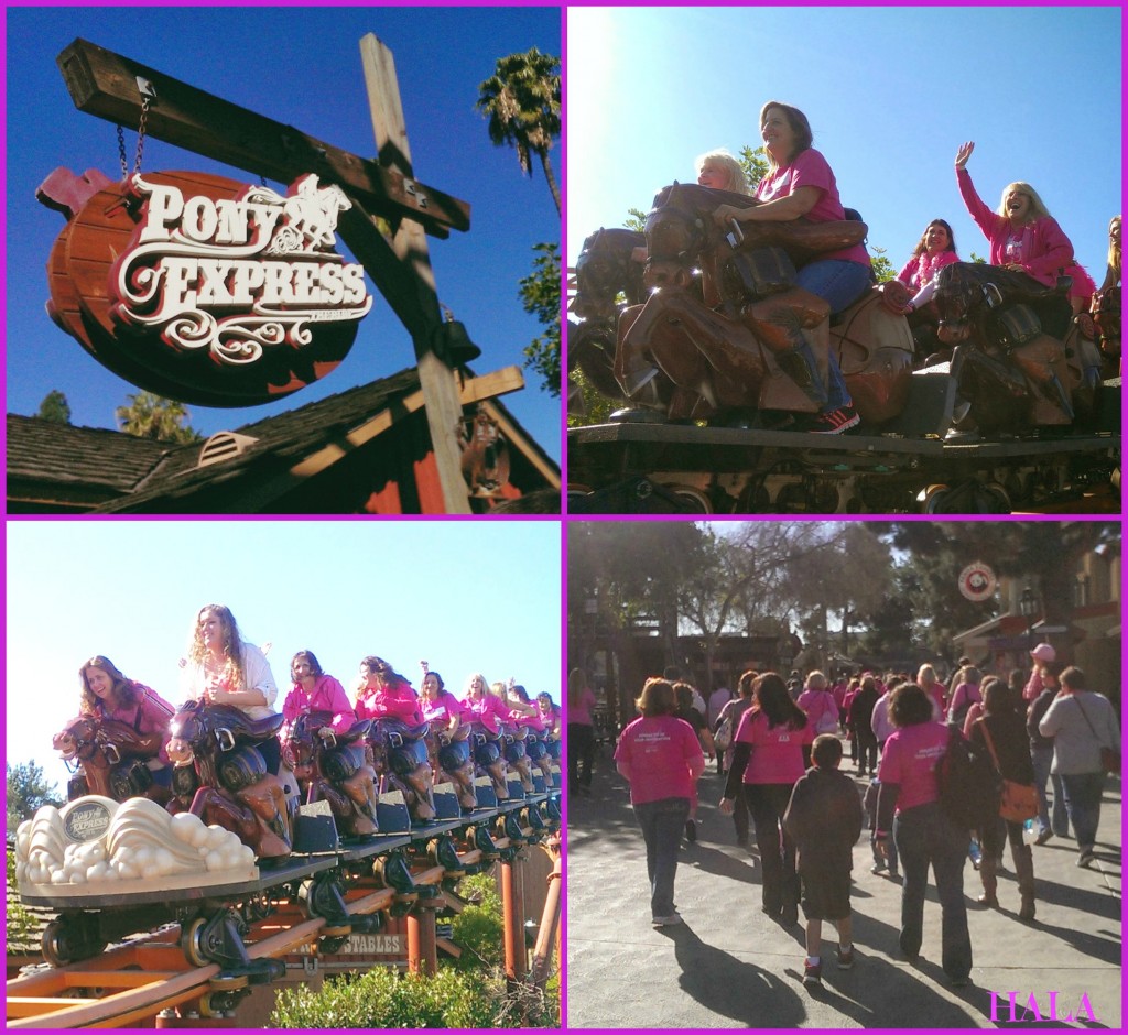 Knotts Pink 3