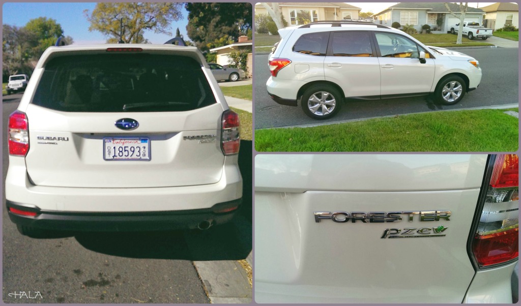 2014 Forester 