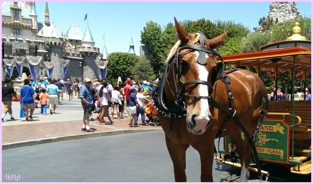 Disney Horse