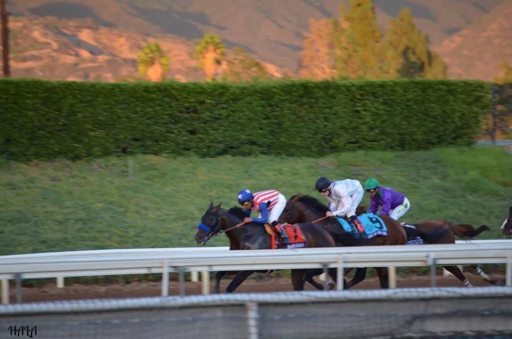 Breeders Cup Classic 2014