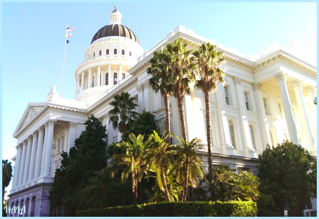 SACRAMENTO CAPITOL 2014