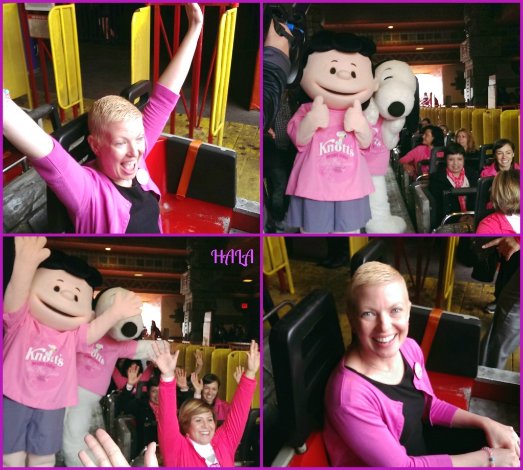 Knotts Pink115