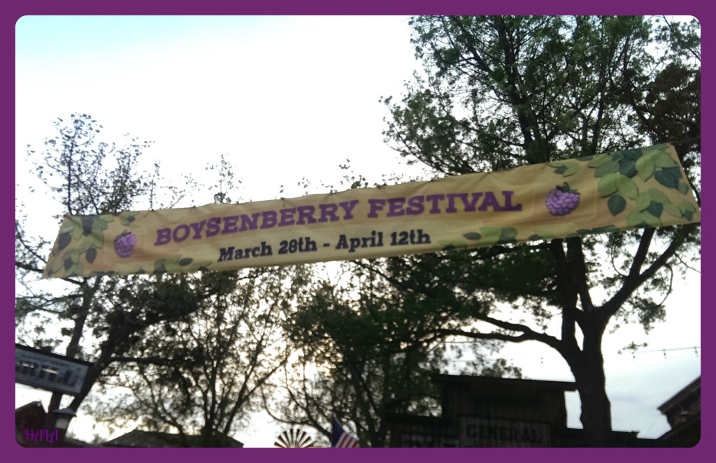 Knotts-Boysenberry-Festival-Banner