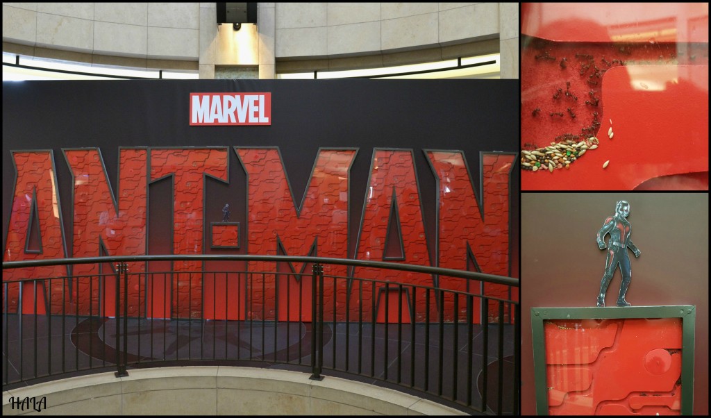 Ant-Man-Antfarm-Premiere