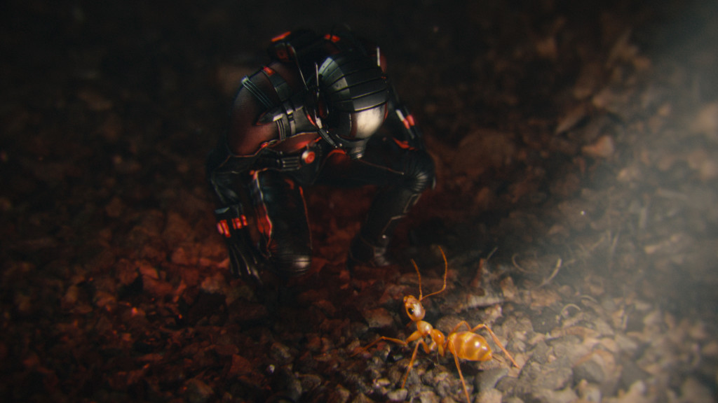 AntMan556fa268701c9