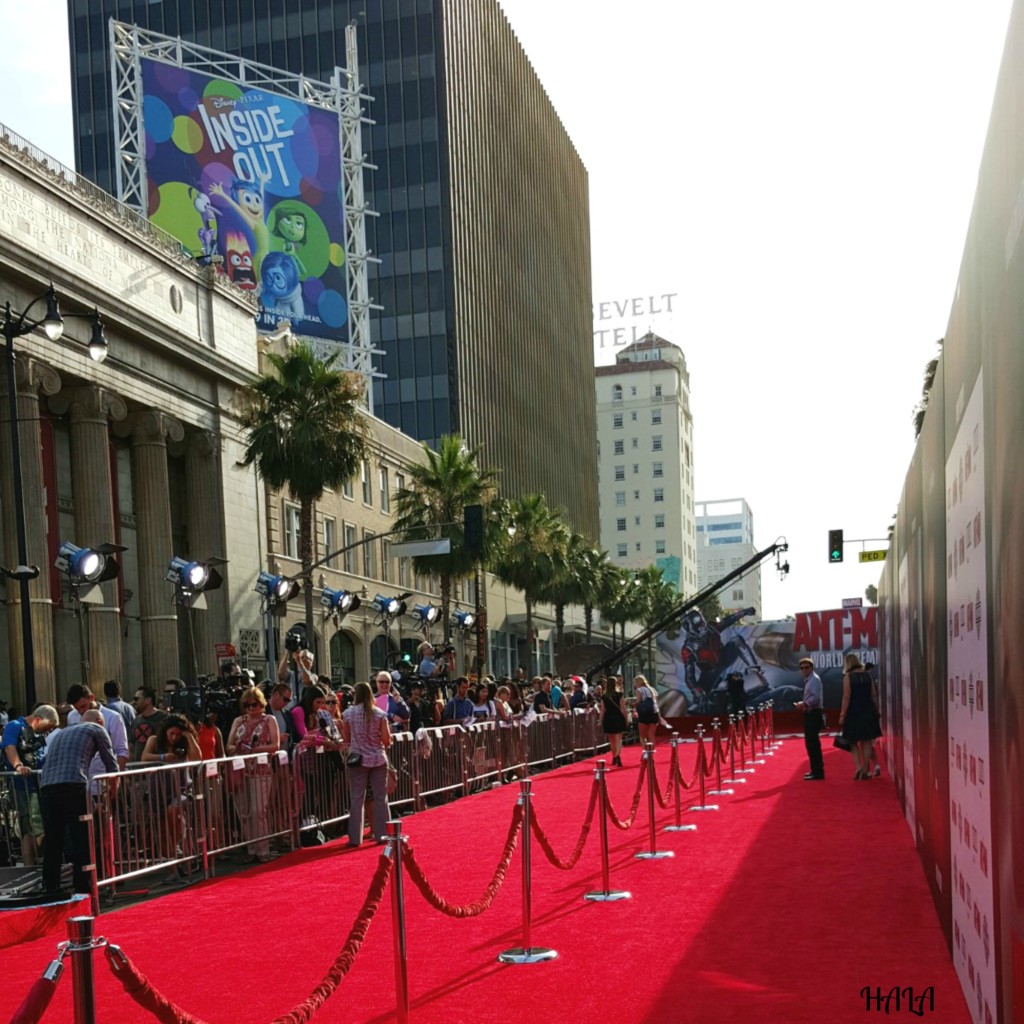 Red-Carpet-Ant-Man