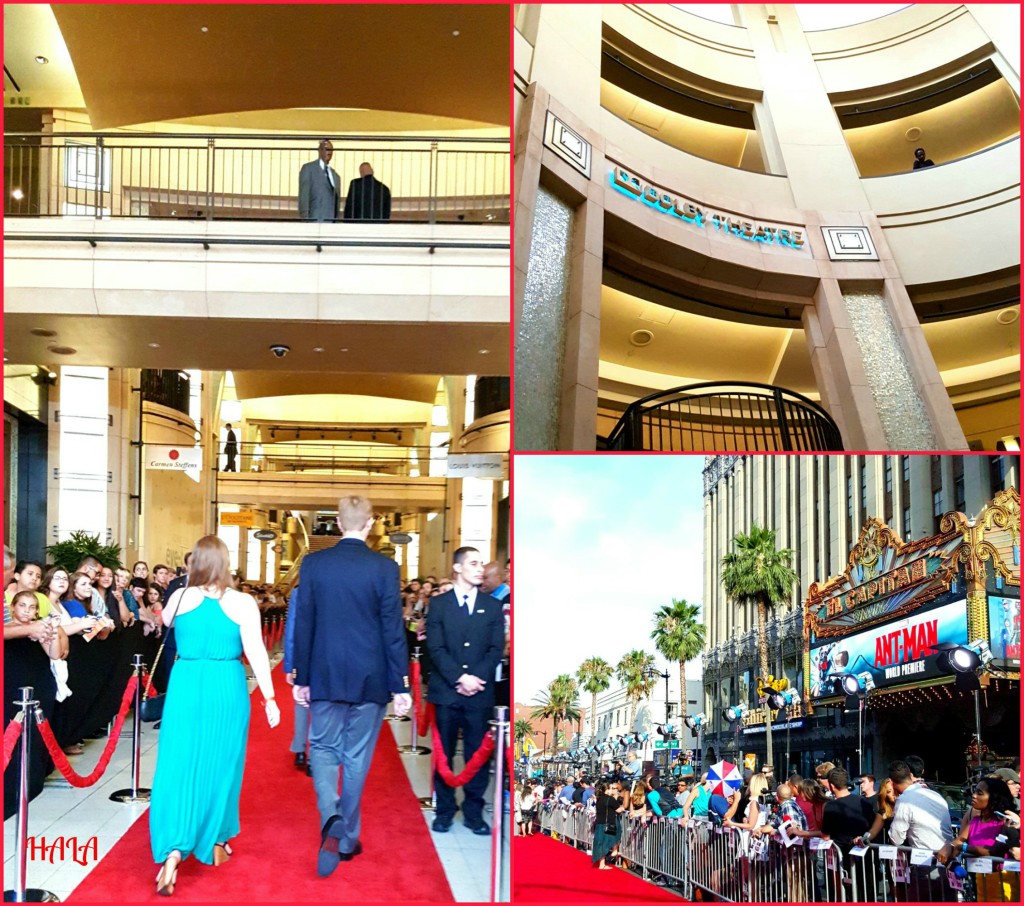 Red-Carpet-Walk