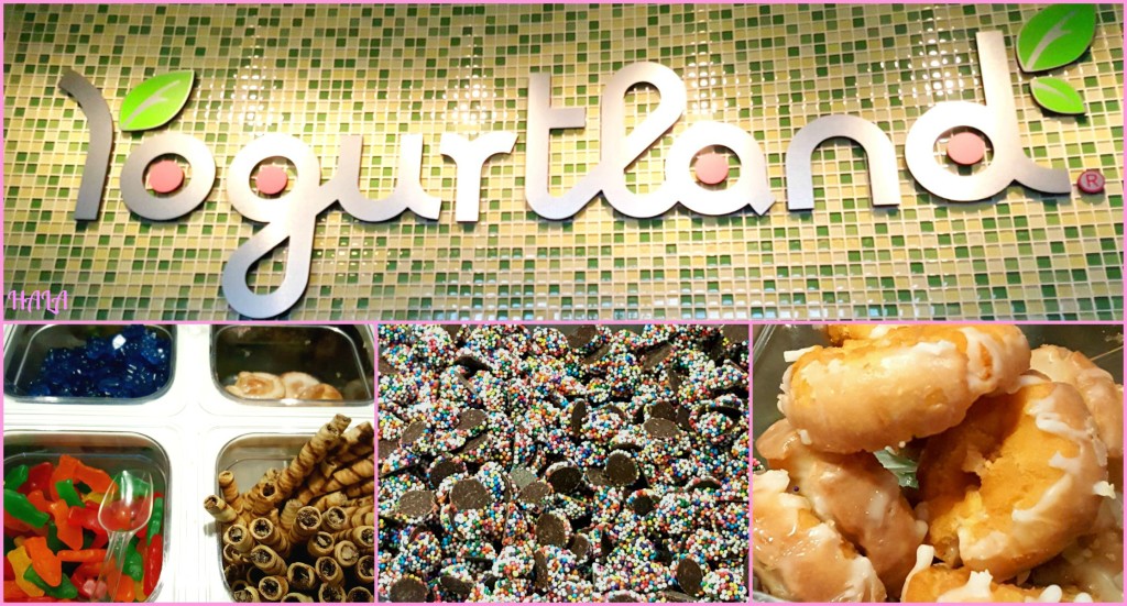 Yogurtland-Sweet-Treat-Toppings