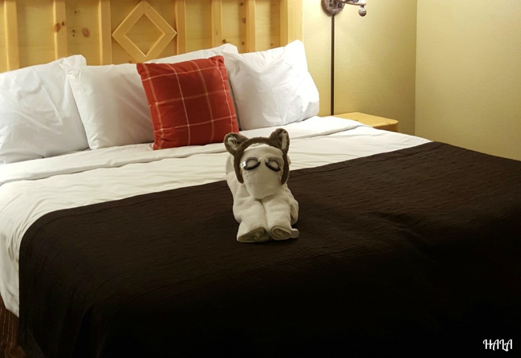 Great-Wolf-Lodge-Resort-Room-Animals