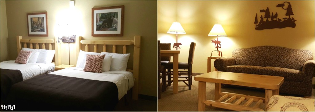 Great Wolf Lodge Rooms