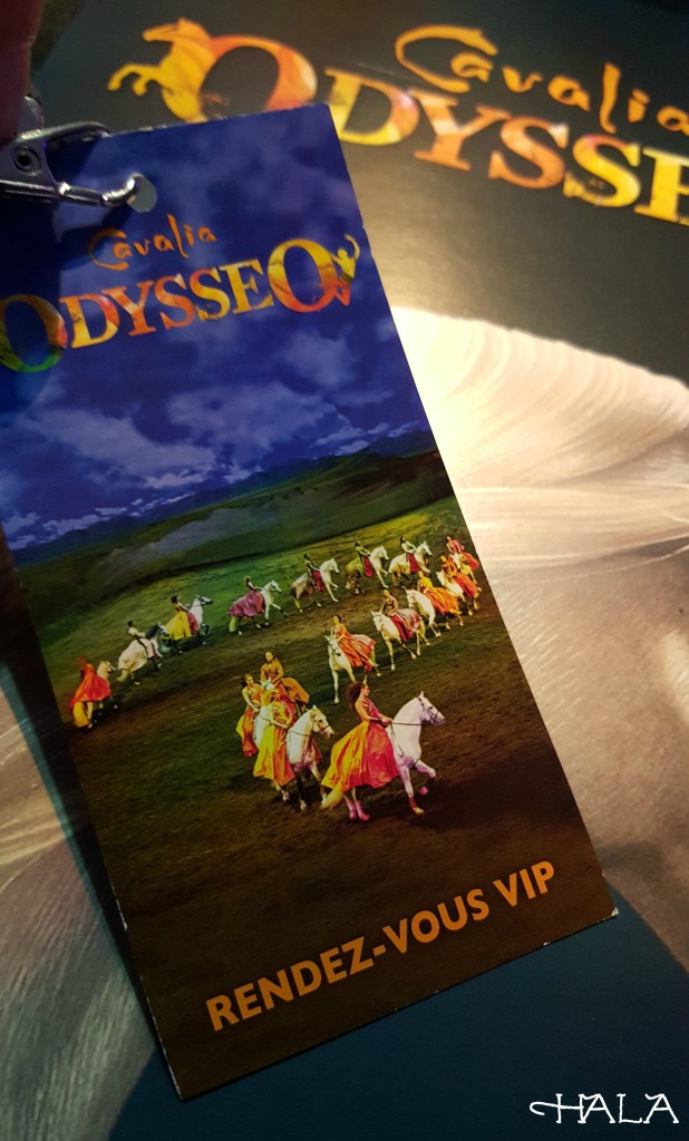 Rendez-Vous-VIP Cavalia Odysseo