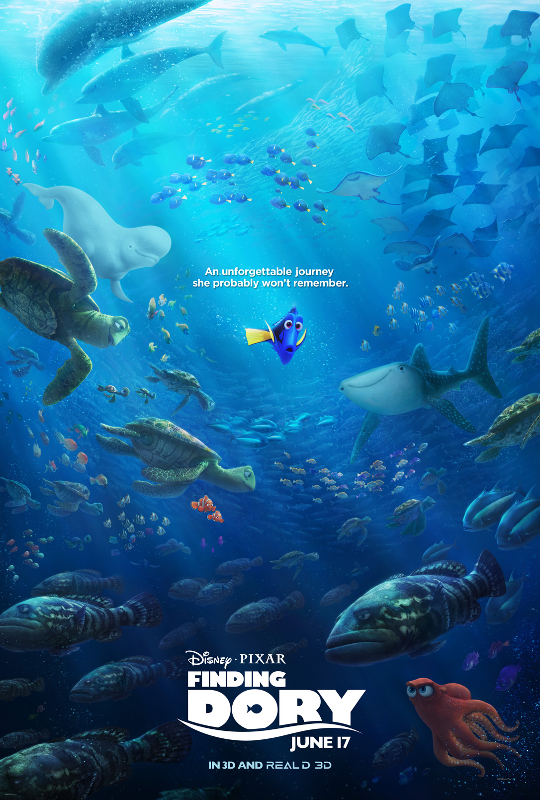 findingdory56e083961b31d-1