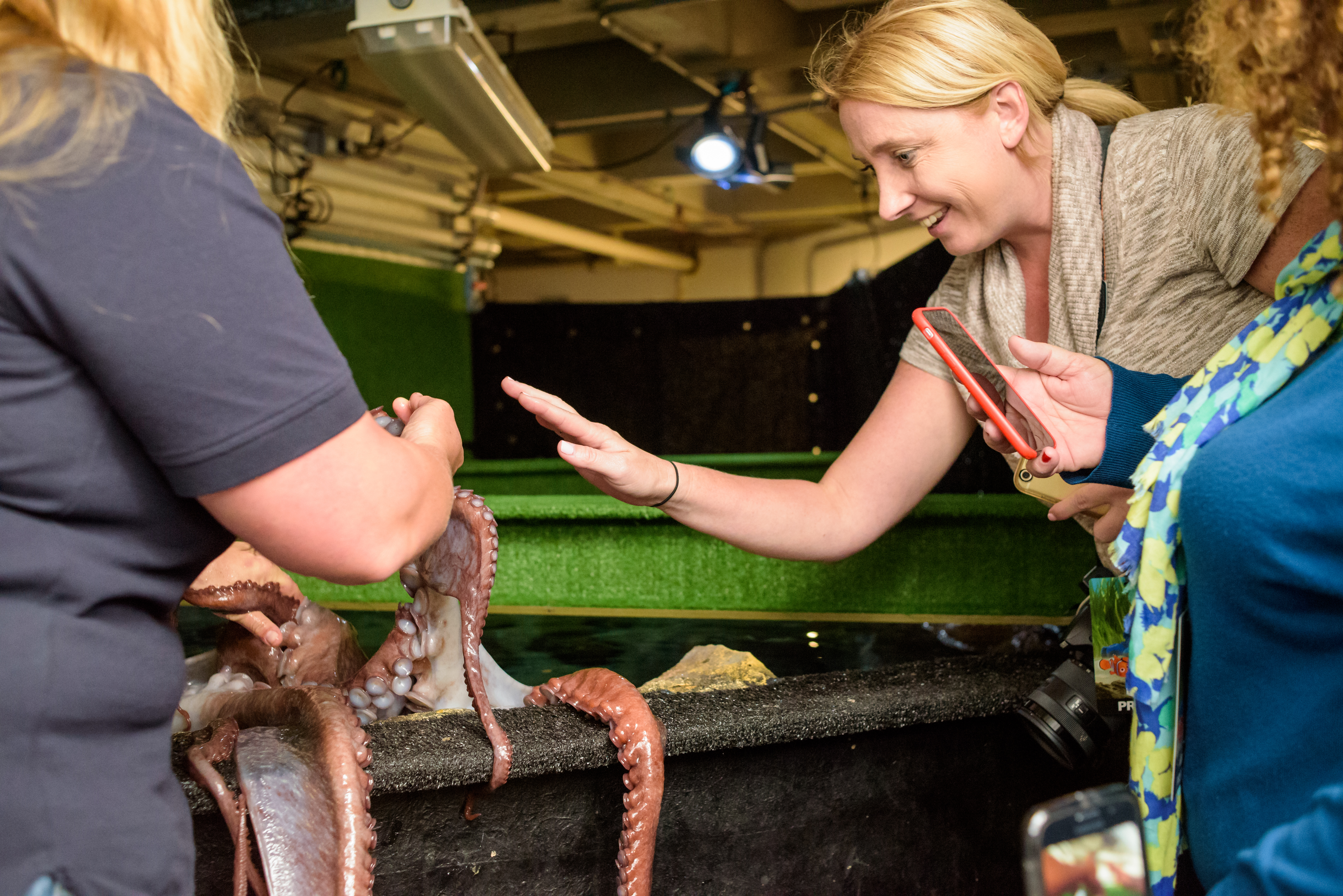 Finding Dory Long Lead Day international press and mommy bloggers at the Monterey Bay Aquarium in Monterey, CA. Photo by Marc Flores. ©2016 Disney•Pixar. All Rights Reserved.