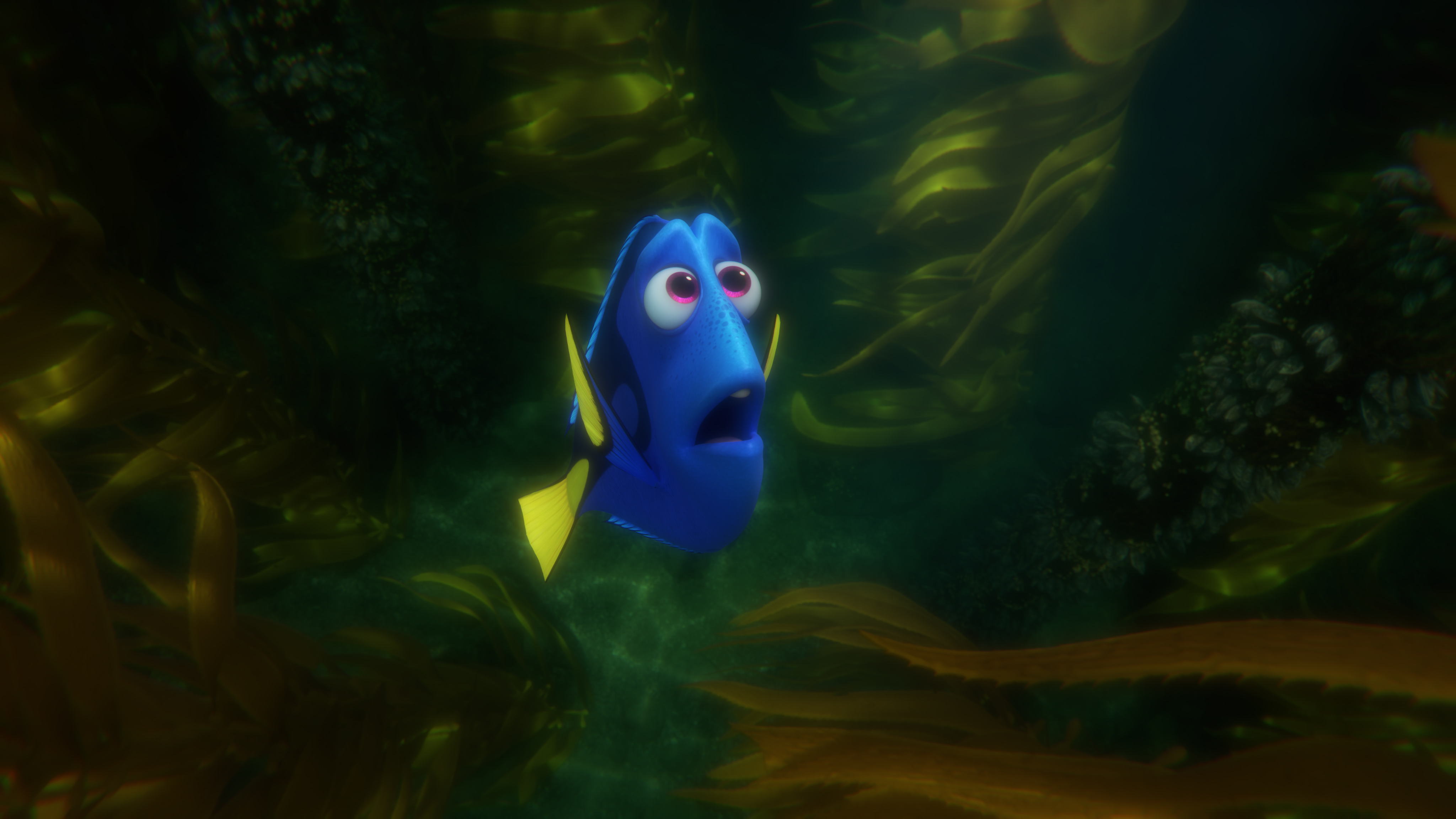 LOST AND FOUND — In "Finding Dory," everyone's favorite forgetful blue tang Dory finds herself lost in the kelp forest while searching for answers about her past. Directed by Andrew Stanton (“Finding Nemo,” “WALL•E”) and produced by Lindsey Collins (co-producer “WALL•E”), “Finding Dory” swims into theaters June 17, 2016. ©2016 Disney•Pixar. All Rights Reserved.