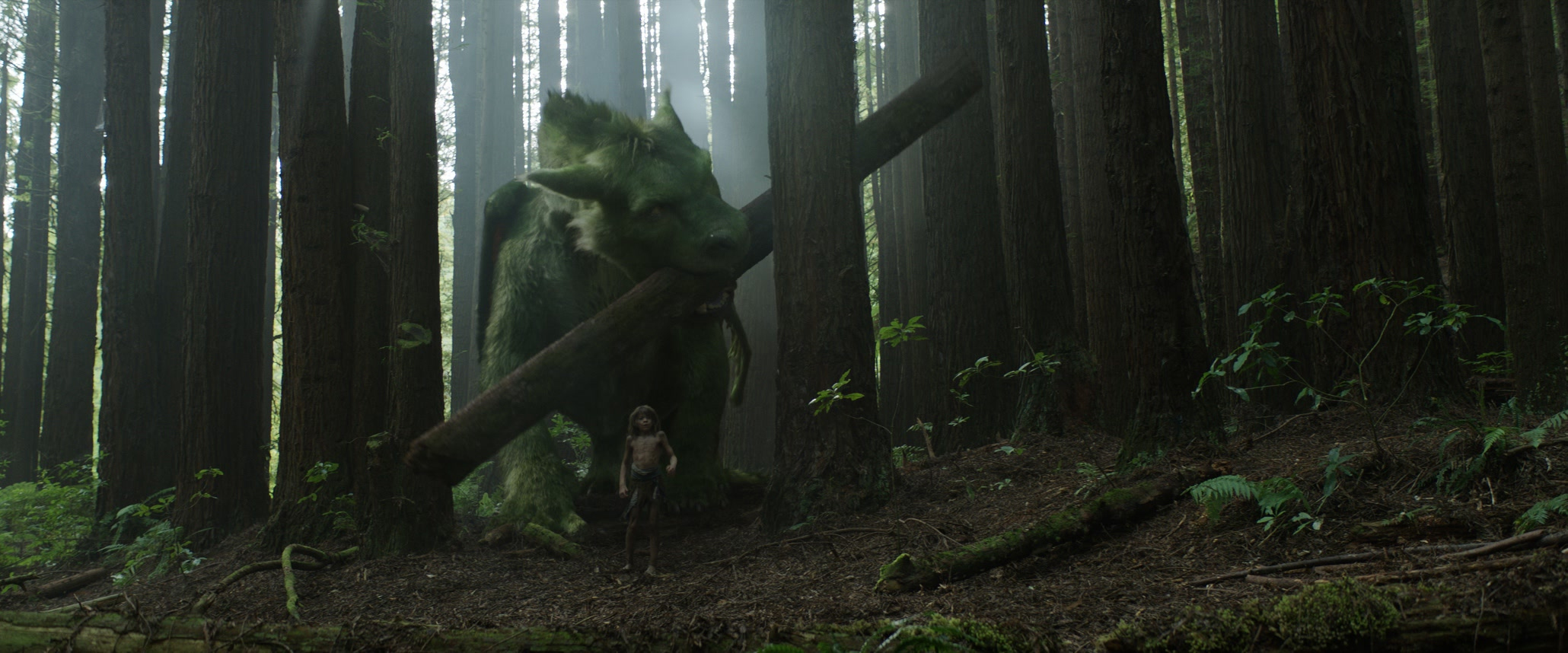 A re-imagining of Disney's cherished film, PETE'S DRAGON is the story of a boy named Pete (Oakes Fegley) and his best friend Elliot, who just happens to be a dragon.