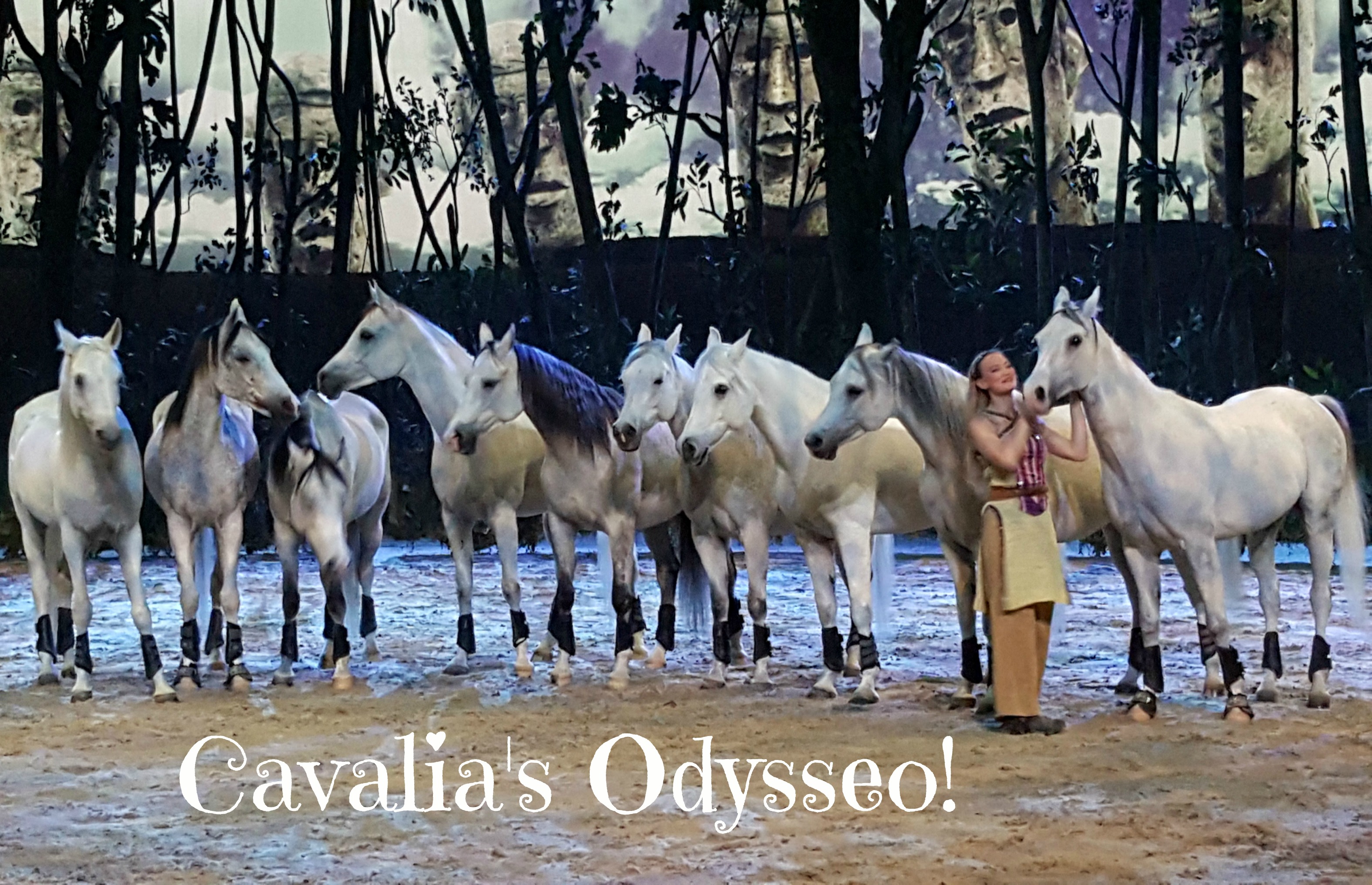 cavalias-odysseo-orange-county-irvine