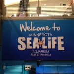 Wordless Wednesday: Sea Life Minnesota Aquarium! @SeaLifeMN