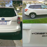 Horsing Around In the 2014 Subaru Forester #SubaruForester 