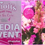 Pretty In Pink at Knott’s For the Cure #KnottsPink @Knotts