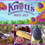 Knott’s Berry Farm’s Boysenberry Festival & Giveaway #KnottsSpring @Knotts