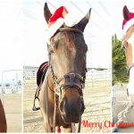 Merry Christmas from Horsing Around In LA