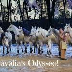 Cavalia’s Odysseo Captivates Audiences in Orange County| @Cavalia #OdysseoOC