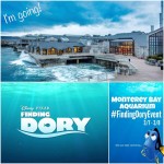 Swim Along With Me to the Finding Dory Event in Monterey Bay! | #FindingDoryEvent