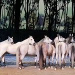 Odysseo by Cavalia is Back in Orange County!