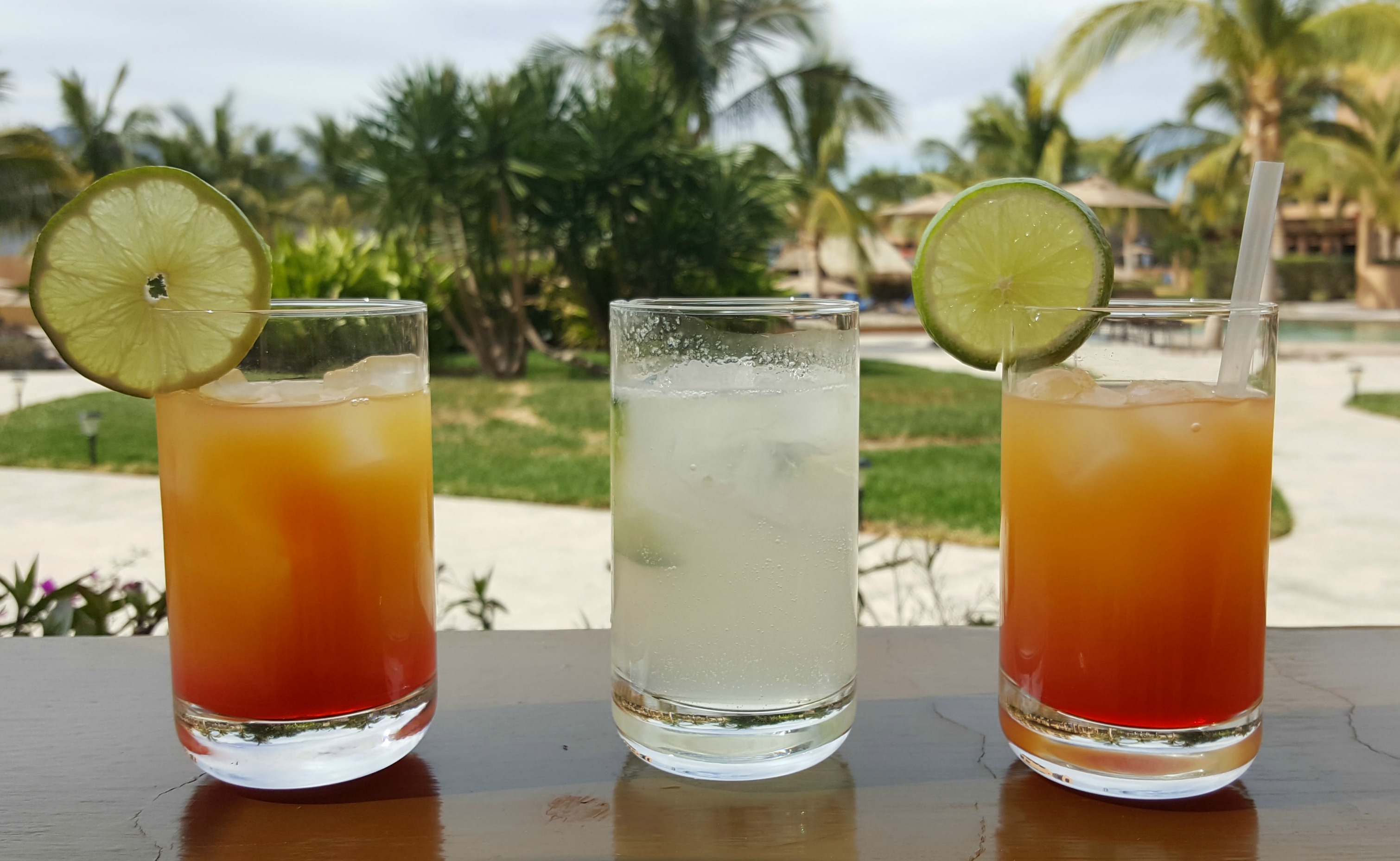 Villa del Palmar drinks 