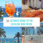 The Ultimate Guide to the Catalina Wine Mixer