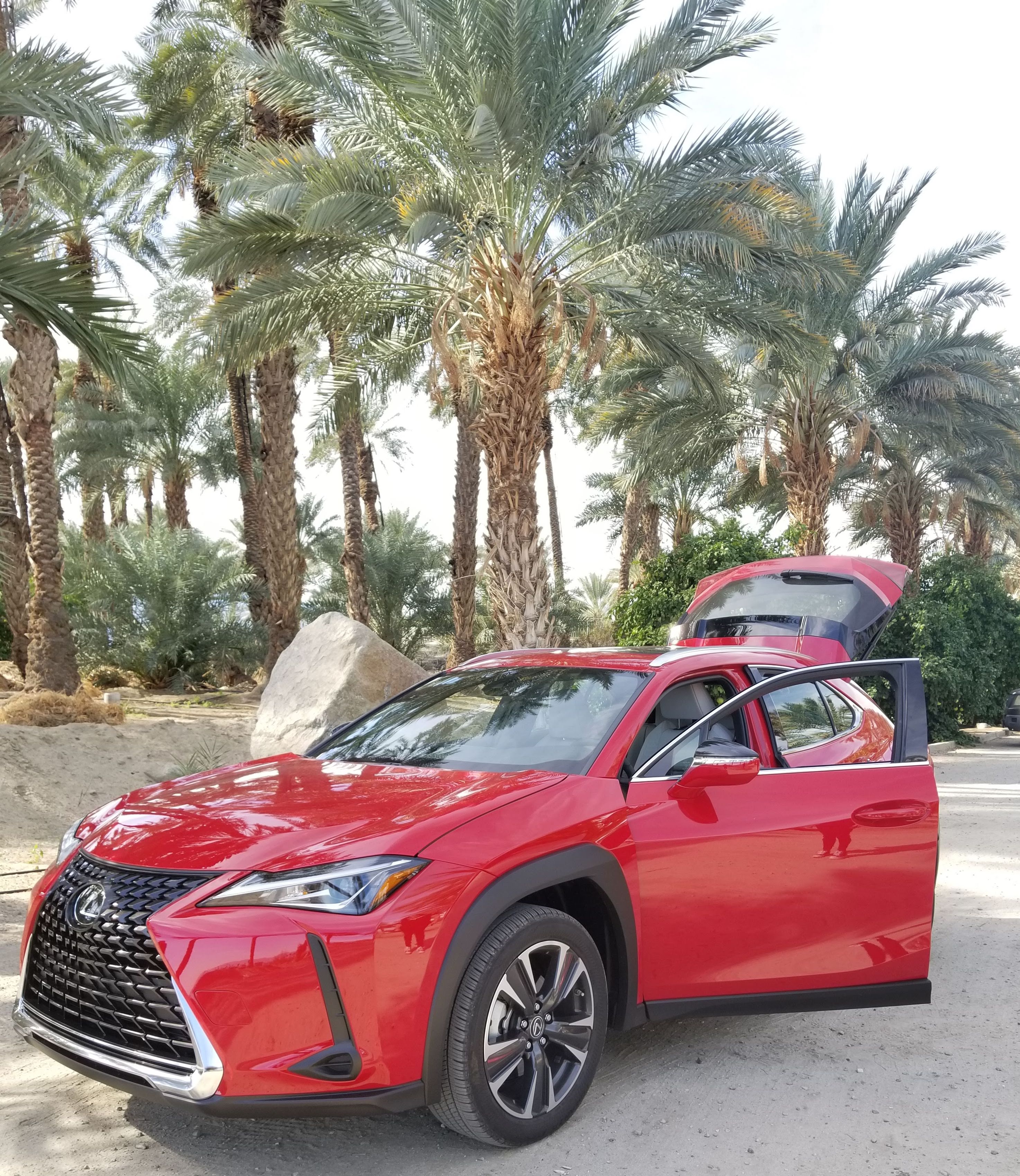 2019 Lexus UX 200 Red