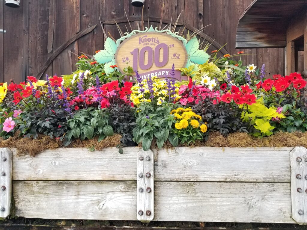 Knott's Berry Farm 100th Flowers
