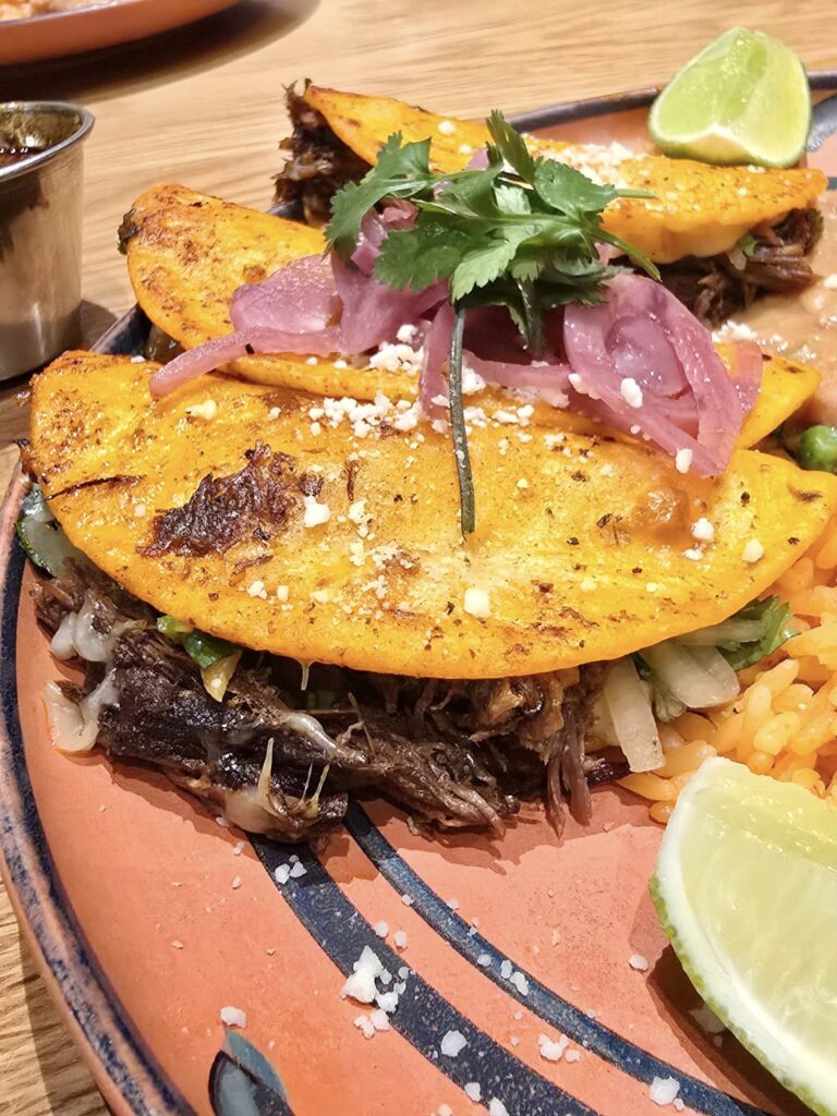 Cinco Ninos- Birria Taacos Foodie Guide to Wisconsin Dells: The Flavors You Can’t Miss